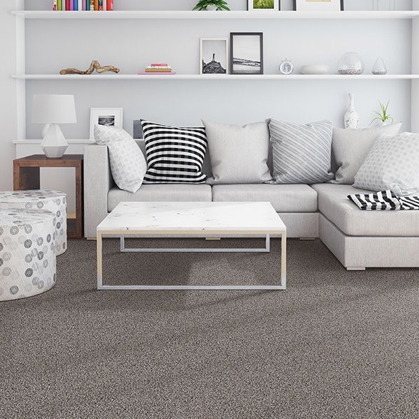 Carpet trends in Glendale, AZ from Cost Plus 20
